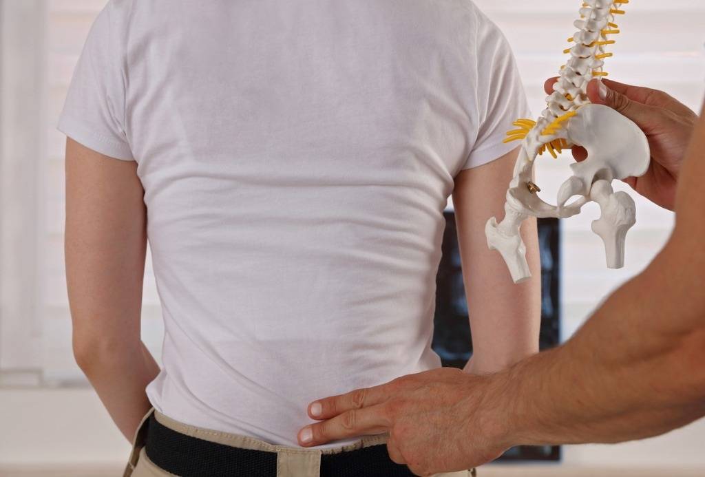 Understand The Different Types Of Back Pain Specialists