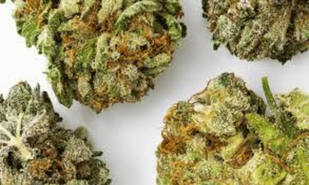 Indoor vs Greenhouse THCA Flower: A Potency Comparison